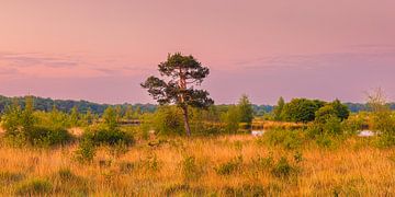 Panorama en zonsopkomst in het Nationale Park Dwingelderveld van Henk Meijer Photography