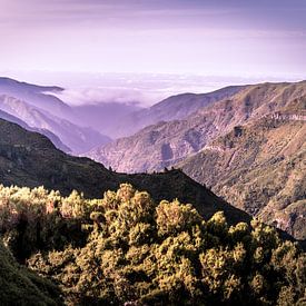 gebergte in Madeira van Alette Jager