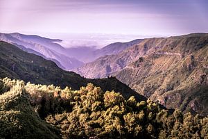 gebergte in Madeira van Alette Jager