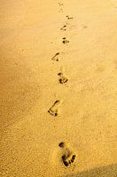 Sporen in het zand