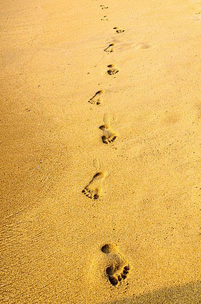 Sporen in het zand van Dieter Walther
