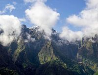 Balkon von Madeira