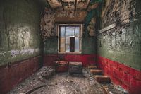 The room with a view