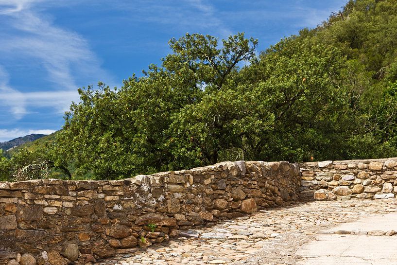 Stone wall in the south of France by Anja B. Schäfer