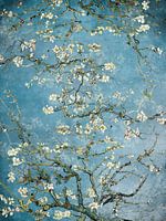 Amandelbloesem schilderij blauw Vincent van Gogh