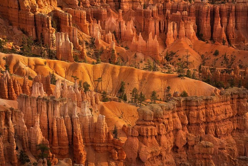 Hoodoos in the sunlight by Martin Podt
