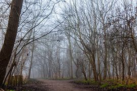 Nollebos à Flushing sur Hartsema fotografie