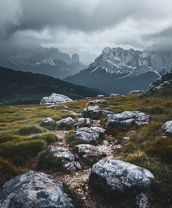 Bergwanderung im Nebel