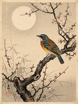 Ohara Koson-inspired Vintage Print – Colourful Bird under a Full Moon with Blossoms