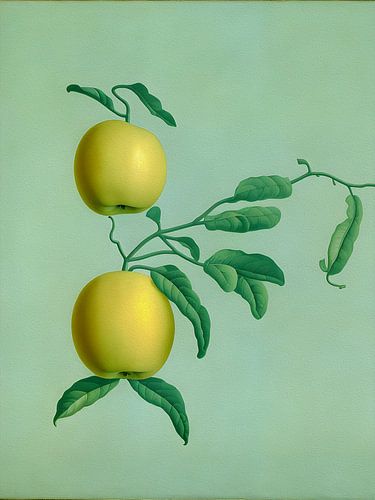 Twee groene appels aan een tak