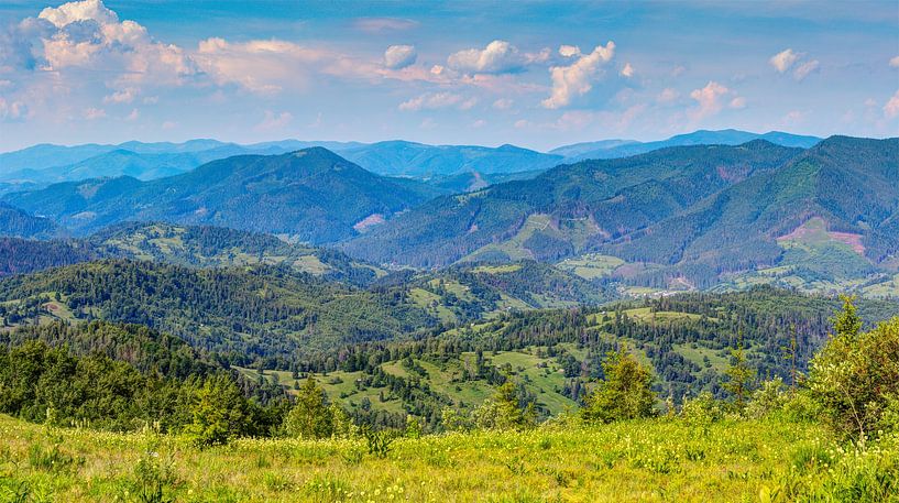 Panoramic view of the Carpathian Mountains by Yevgen Belich