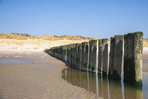 Holzpfähle in einer Reihe am Strand