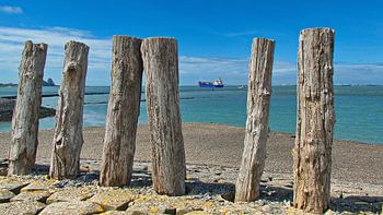 Cargo ship between the breakwaters