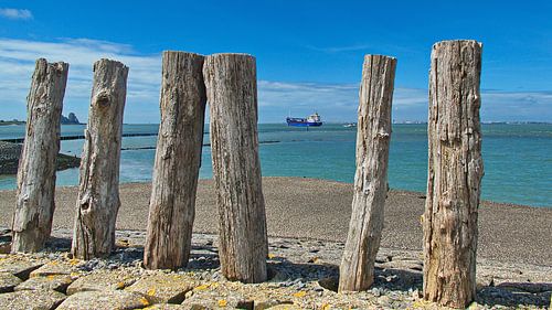 Cargo ship between the breakwaters