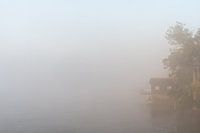 The Lek in the fog