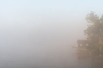 Der Lek im Nebel