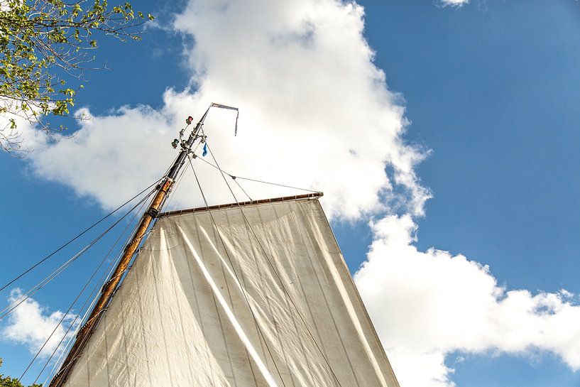 Sailing by Willy Sybesma