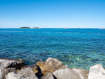 Stenen op het strand van Vrsar in Istrië Kroatië van Animaflora PicsStock
