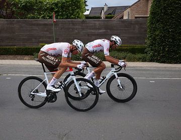 Greg Van Avermaet and Oliver Naesens looking for the lead group by FreddyFinn