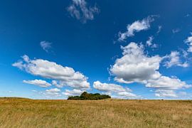 Groß Zicker, Mönchgut peninsula by GH Foto & Artdesign