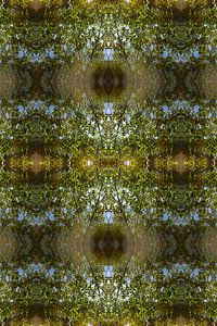 Sommerliche Reflexion, Wasser und Symmetrie 1