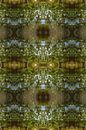 Sommerliche Reflexion, Wasser und Symmetrie 1 von Heidemuellerin Miniaturansicht