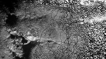 Wak in black and white