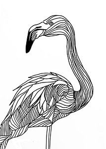 Lines art animal flamingo