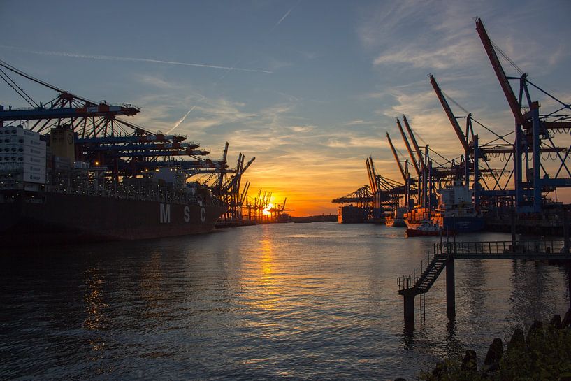 Hamburg by Hello Pompoyo