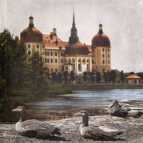 Moritzburg - Dresde