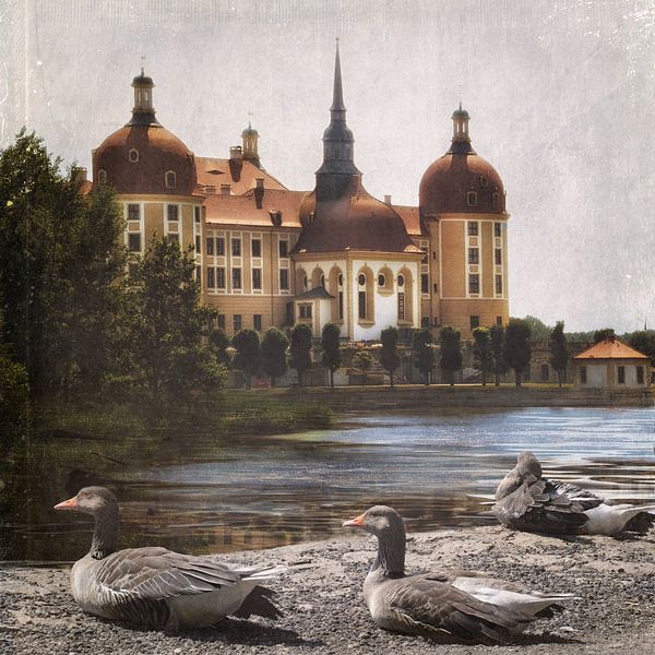 Moritzburg - Dresden  by Christine Nöhmeier