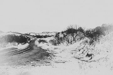 Duinen en sneeuw Egmond aan Zee van Annette van Dijk-Leek