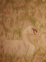 Cygne Infini de l'Amour