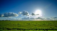 nature in Holland