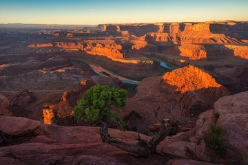 Dead Horse Point at Sunrise II by Martin Podt