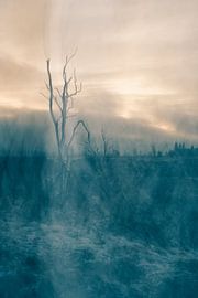 The peat by Rik Verslype