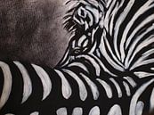 Zebra von Ineke de Rijk Miniaturansicht