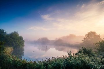 Morning Fog van Martijn Kort