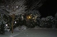 Tuin in winter pracht. van Gerard Jacobs thumbnail