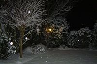 Tuin in winter pracht.