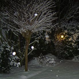Tuin in winter pracht. van Gerard Jacobs
