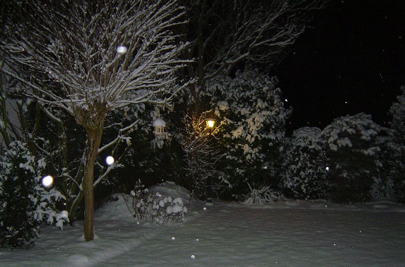 Tuin in winter pracht. by Gerard Jacobs