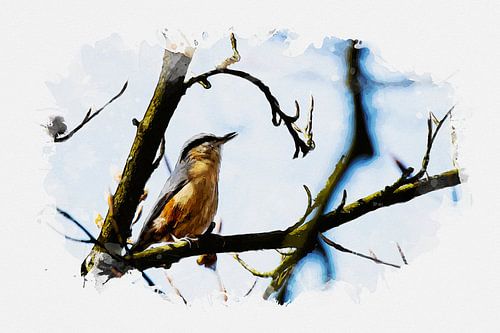 Aquarell-Bombenfänger