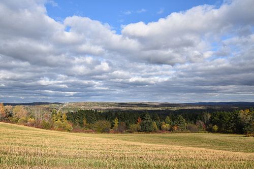 Een veld in de herfst na de oogst