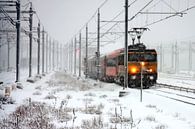 Train in blizzard near Amsterdam Central Station by Eye on You thumbnail