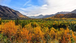 Indian summer colourful autumn sur Bas Wolfs