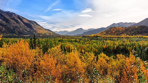 Indian summer colourful autumn