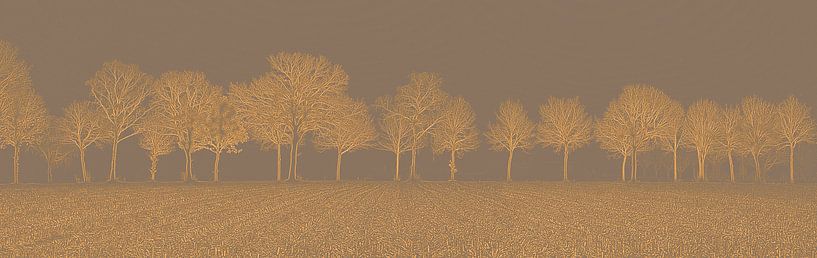 rangée d'arbres stylisée par Jan Fritz
