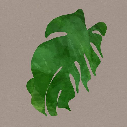 Tropische zomervibes. Monstera palmblad nr. 5