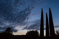 Evening in Provence